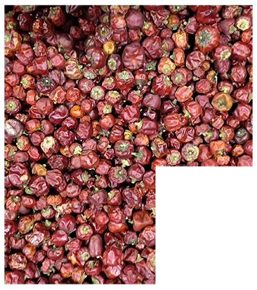 Chilli Processing Equipment